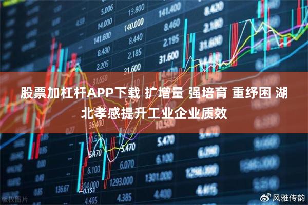 股票加杠杆APP下载 扩增量 强培育 重纾困 湖北孝感提升工业企业质效
