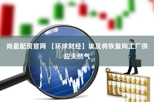 尚盈配资官网 【环球财经】埃及将恢复向工厂供应天然气