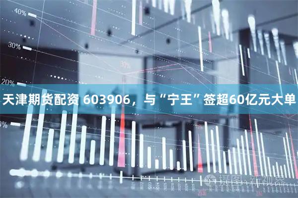 天津期货配资 603906，与“宁王”签超60亿元大单