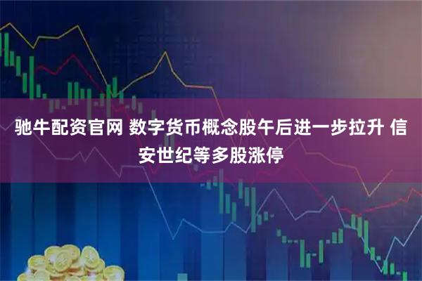 驰牛配资官网 数字货币概念股午后进一步拉升 信安世纪等多股涨停