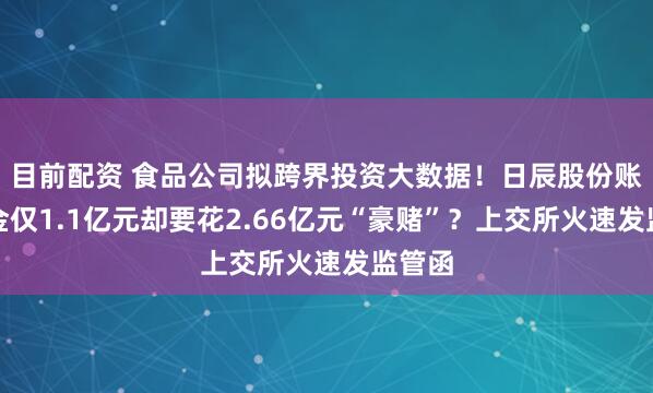 目前配资 食品公司拟跨界投资大数据！日辰股份账面现金仅1.1亿元却要花2.66亿元“豪赌”？上交所火速发监管函