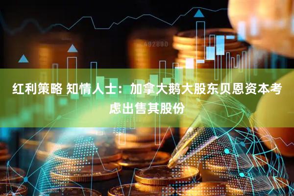红利策略 知情人士：加拿大鹅大股东贝恩资本考虑出售其股份