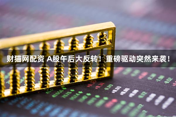 财猫网配资 A股午后大反转！重磅驱动突然来袭！